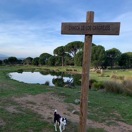 El Refugio De Felix Vila Sotillo de la Adrada Exterior foto