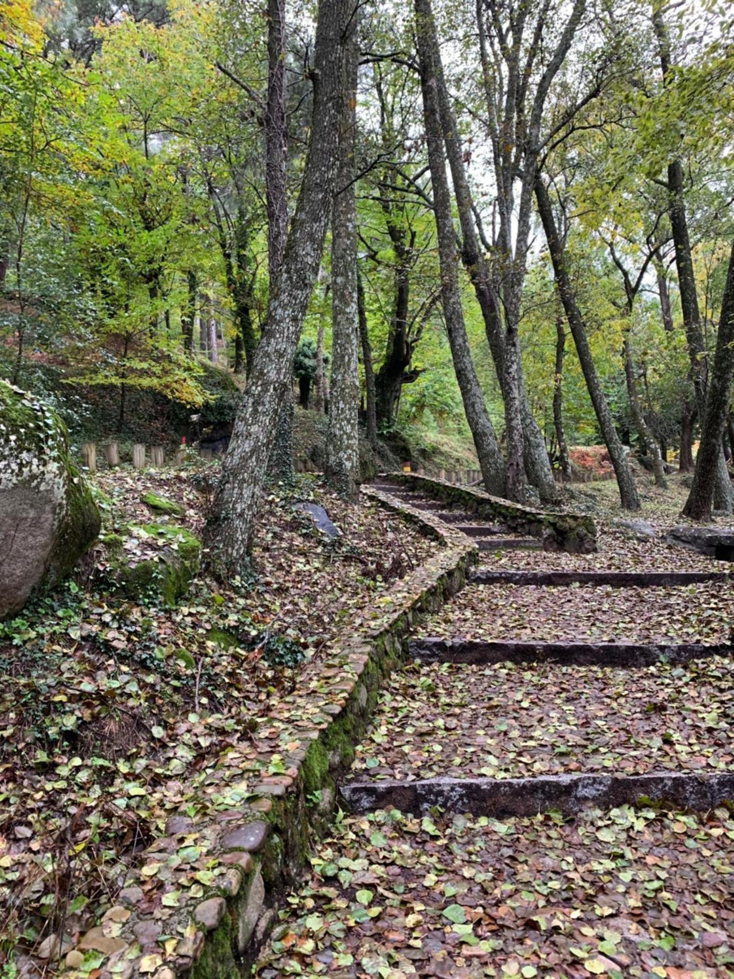 El Refugio De Felix Vila Sotillo de la Adrada Exterior foto